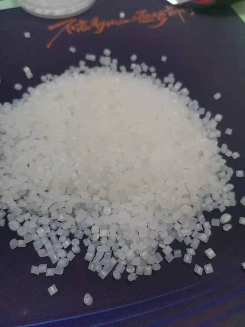 高韧性 PA56 生物基聚酰胺 生物基材料技术研发的新路径与挑战