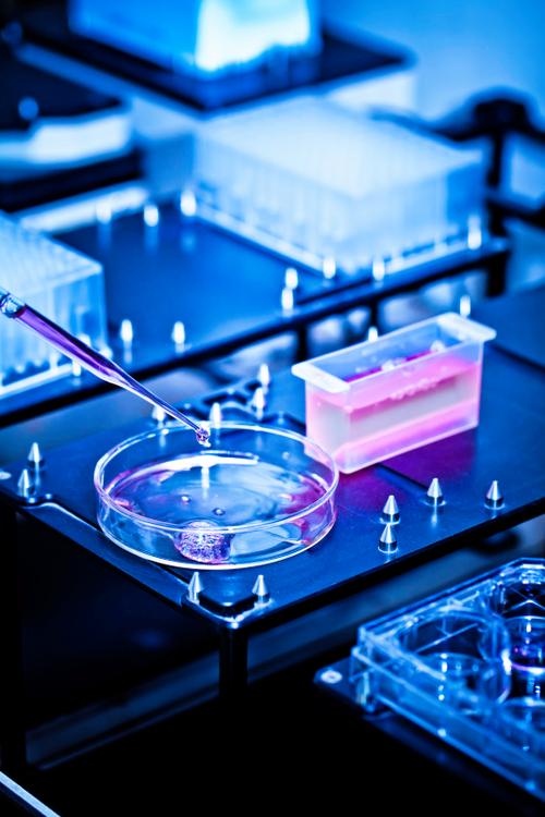 从样品图片到产业蓝图 生物基材料技术研发的图像分析路径与创新实践