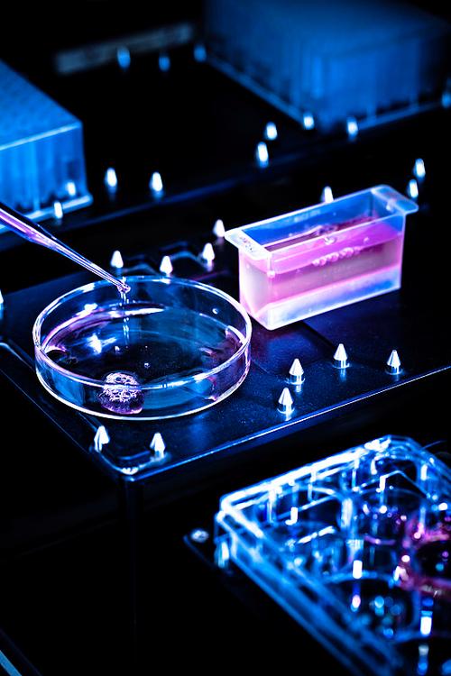 从样品图到量产决策 生物基材料研发中的图像分析实战指南